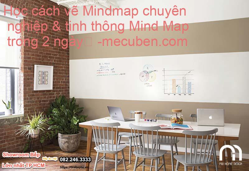 Học cách vẽ Mindmap chuyên nghiệp & tinh thông Mind Map trong 2 ngày
